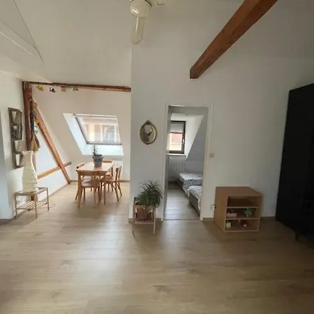 P55 Location Mobilité Contrat 1 Mois Minimum 3 Pièces Lumineux Strasbourg