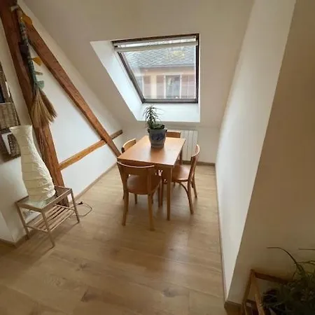 P55 Location Mobilité Contrat 1 Mois Minimum 3 Pièces Lumineux Appartement