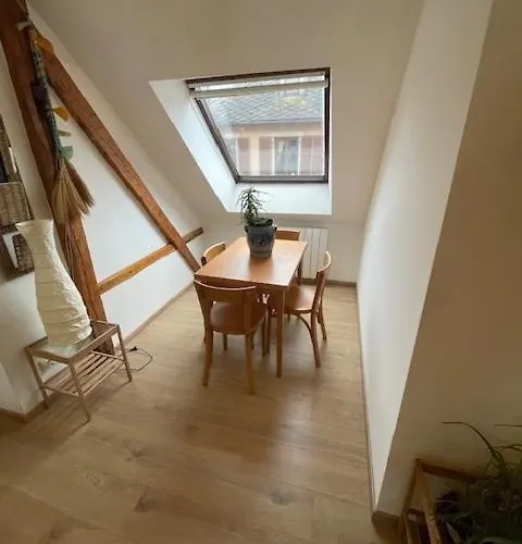 P55 Location Mobilité Contrat 1 Mois Minimum 3 Pièces Lumineux Appartamento