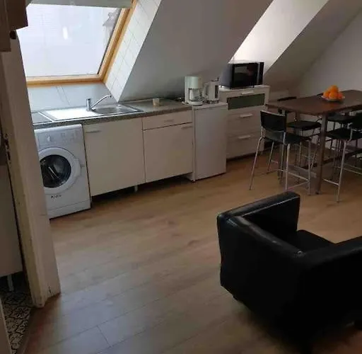 P55 Location Mobilité Contrat 1 Mois Minimum 3 Pièces Lumineux Appartamento Strasburgo