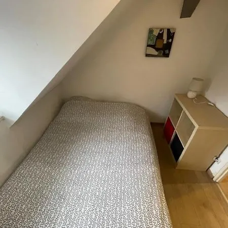 شقة P55 Location Mobilite Contrat 1 Mois Minimum 3 Pieces Lumineux ستراسبورغ