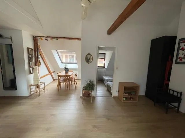 P55 Location Mobilité Contrat 1 Mois Minimum 3 Pièces Lumineux Strasbourg